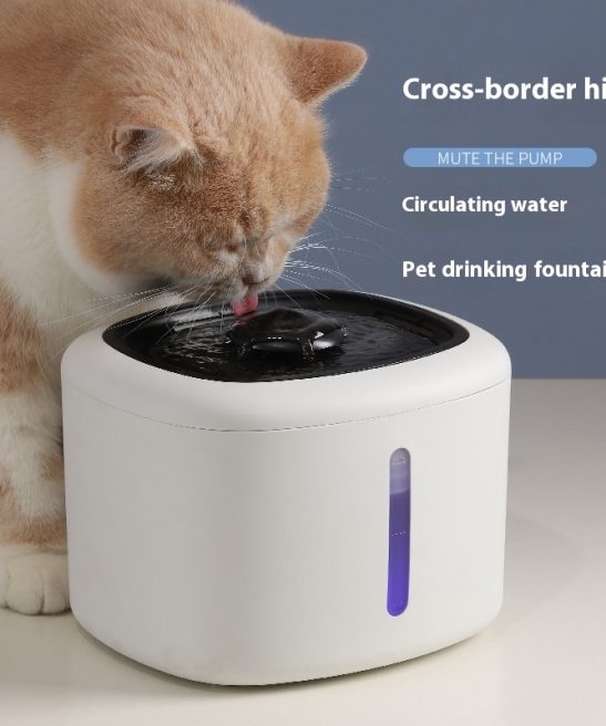 Smart Automatic Circulating Filtered Water Dispenser for Pets
