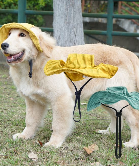 Summer Corduroy Dog Sun Hat