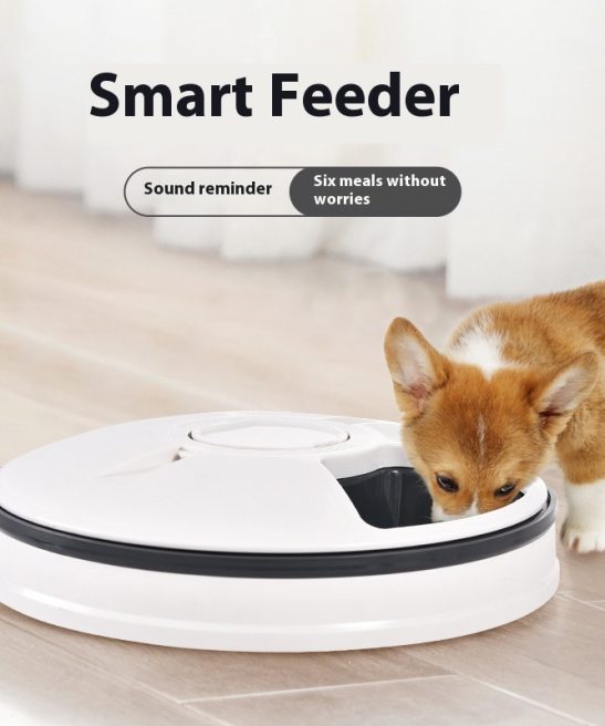 Pet supplies Six-grid intelligent timed automatic pet feeder Timed and quantitative feeding utensils for pets Pet feeder and food dispenser machine