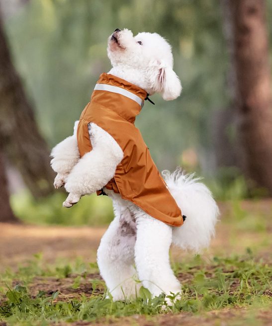 Outdoor Waterproof Dog Raincoat