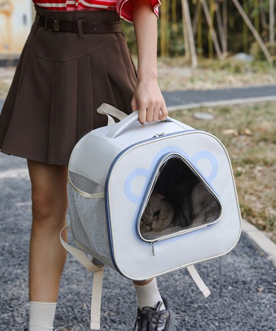 Outdoor - ready Cat Backpack