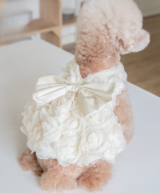 Adorable Dress Skirt