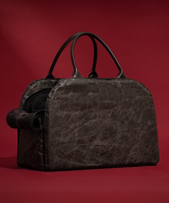 High - End Multifunctional Pet Travel Bag