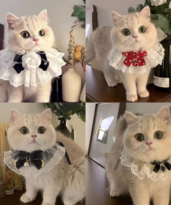 Cute Bow Fairy Cat Saliva Towel Princess Style Lace Collar Bell Necklace Bib