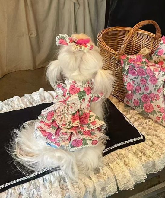 Spring - Summer Rose Pet Princess Dress