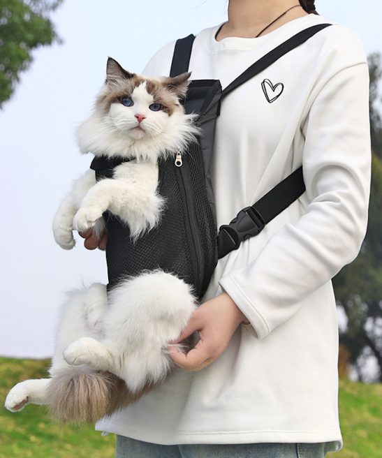 Pet Breathable Outdoor Backpack