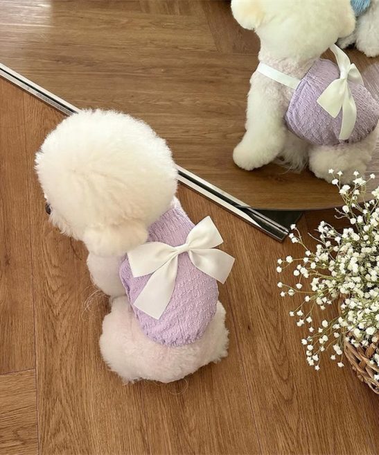Summer New Thin Dog & Cat Clothes